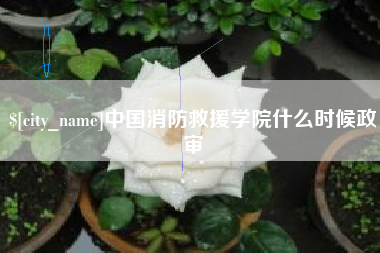 惠东中国消防救援学院什么时候政审