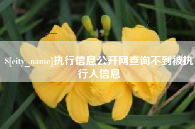 惠东执行信息公开网查询不到被执行人信息