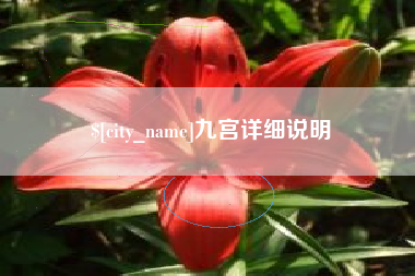 惠东九宫详细说明