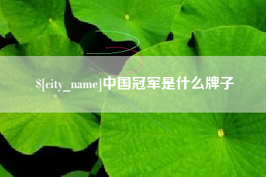 惠东中国冠军是什么牌子