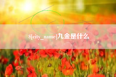 惠东九金是什么