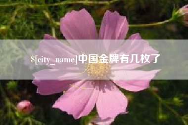 惠东中国金牌有几枚了