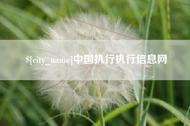 惠东中国执行执行信息网