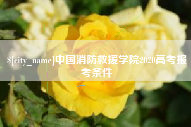 惠东中国消防救援学院2020高考报考条件