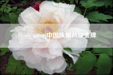 惠东中国队第八块金牌