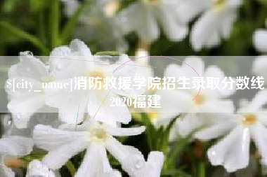 惠东消防救援学院招生录取分数线2020福建