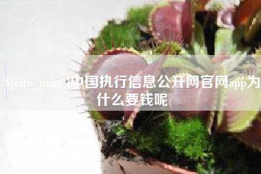 惠东中国执行信息公开网官网app为什么要钱呢