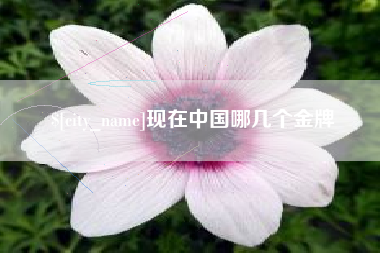 惠东现在中国哪几个金牌