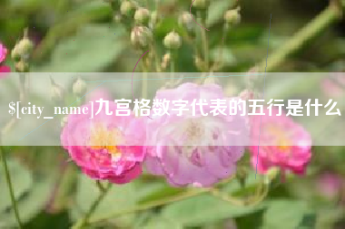 惠东九宫格数字代表的五行是什么