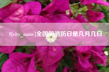 惠东全国的消防日是几月几日