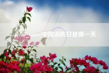 惠东中国消防日是哪一天