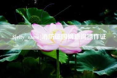惠东消防证国网查询操作证