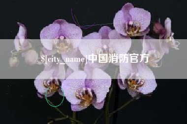 惠东中国消防官方