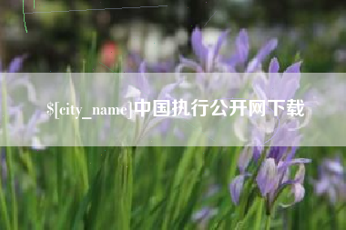 惠东中国执行公开网下载
