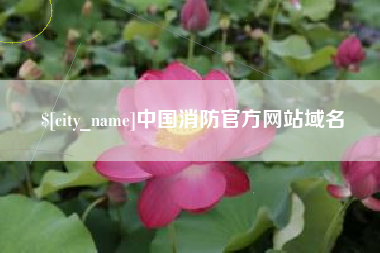 惠东中国消防官方网站域名