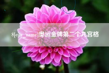 惠东奥运金牌第二个九宫格