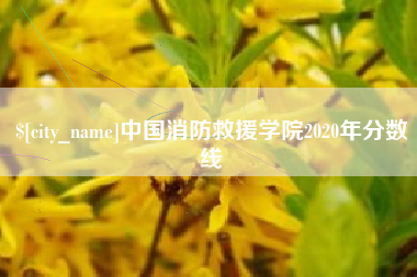 惠东中国消防救援学院2020年分数线