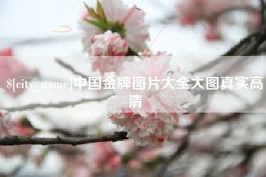 惠东中国金牌图片大全大图真实高清