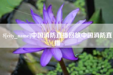 惠东中国消防直播回放中国消防直播