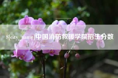 惠东中国消防救援学院招生分数