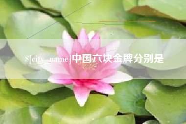 惠东中国六块金牌分别是