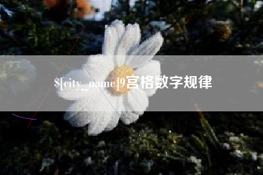 惠东9宫格数字规律