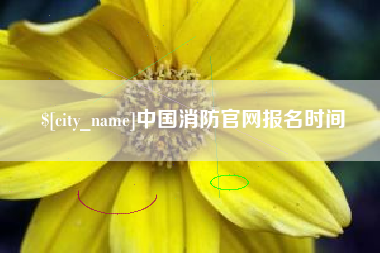 惠东中国消防官网报名时间