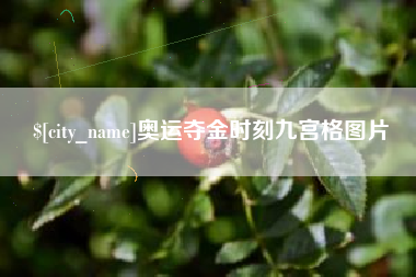 惠东奥运夺金时刻九宫格图片