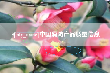 惠东中国消防产品质量信息