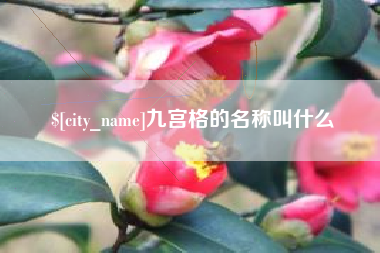 惠东九宫格的名称叫什么