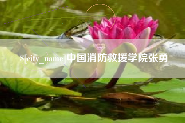 惠东中国消防救援学院张勇