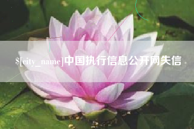 惠东中国执行信息公开网失信
