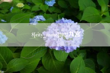 惠东2022九宫