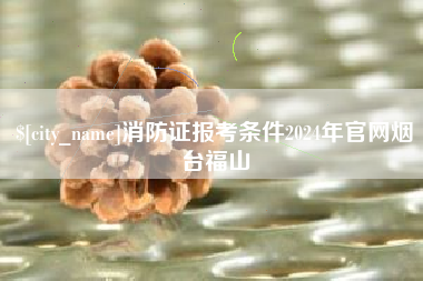 惠东消防证报考条件2024年官网烟台福山