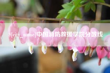 惠东中国消防救援学院分数线