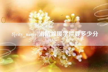 惠东消防救援学院要多少分