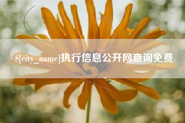 惠东执行信息公开网查询免费