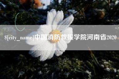 惠东中国消防救援学院河南省2020